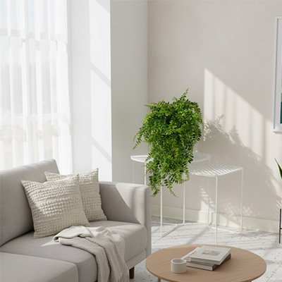 Plante artificielle tombante | Ultra-réaliste - Design Rêver