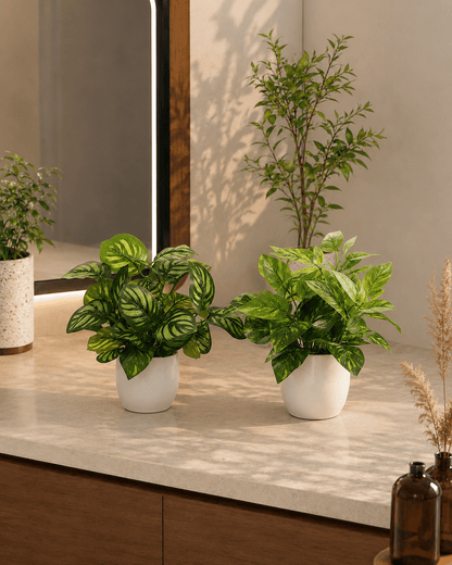 Plante artificielle | Ultra-réaliste - Design Rêver