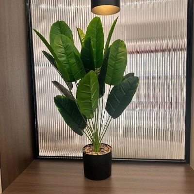 Plante artificielle | Ultra-réaliste - Design Rêver